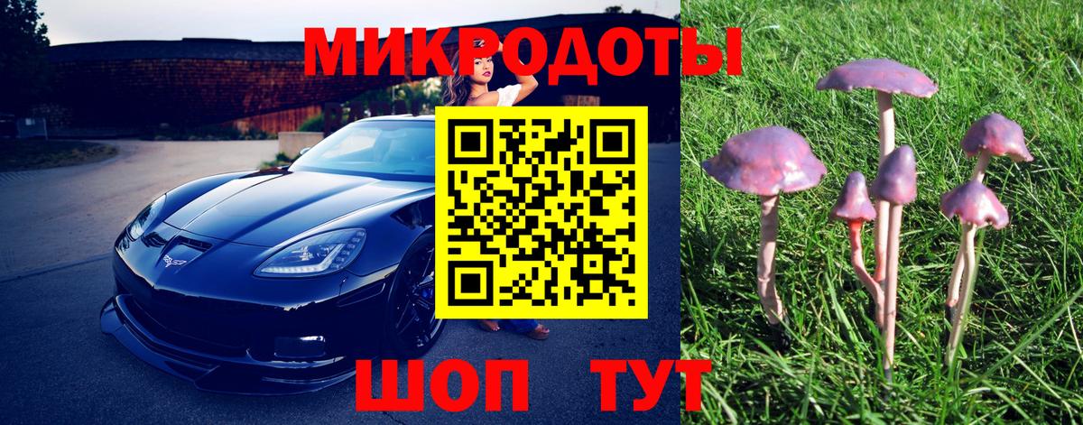 Галлюциногенные грибы GOLDEN TEACHER  Галлюциногенные грибы MAGIC MUSHROOMS  Новошахтинск  Вход с VPN 