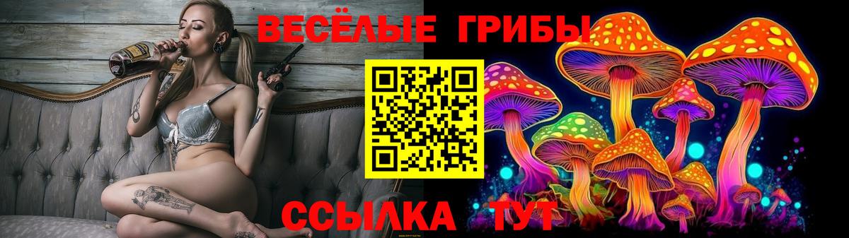 Галлюциногенные грибы ЛСД Новошахтинск